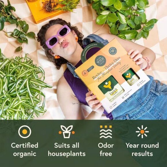 Houseplant Revive and Thrive Duo Kit by We The Wild - Picture 4 of 5